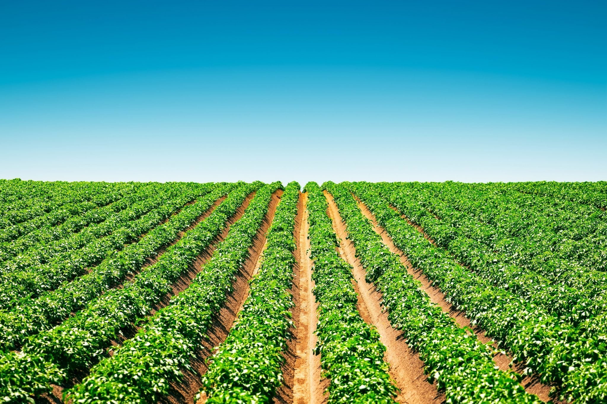 Expertise in Action Office Meeting Table