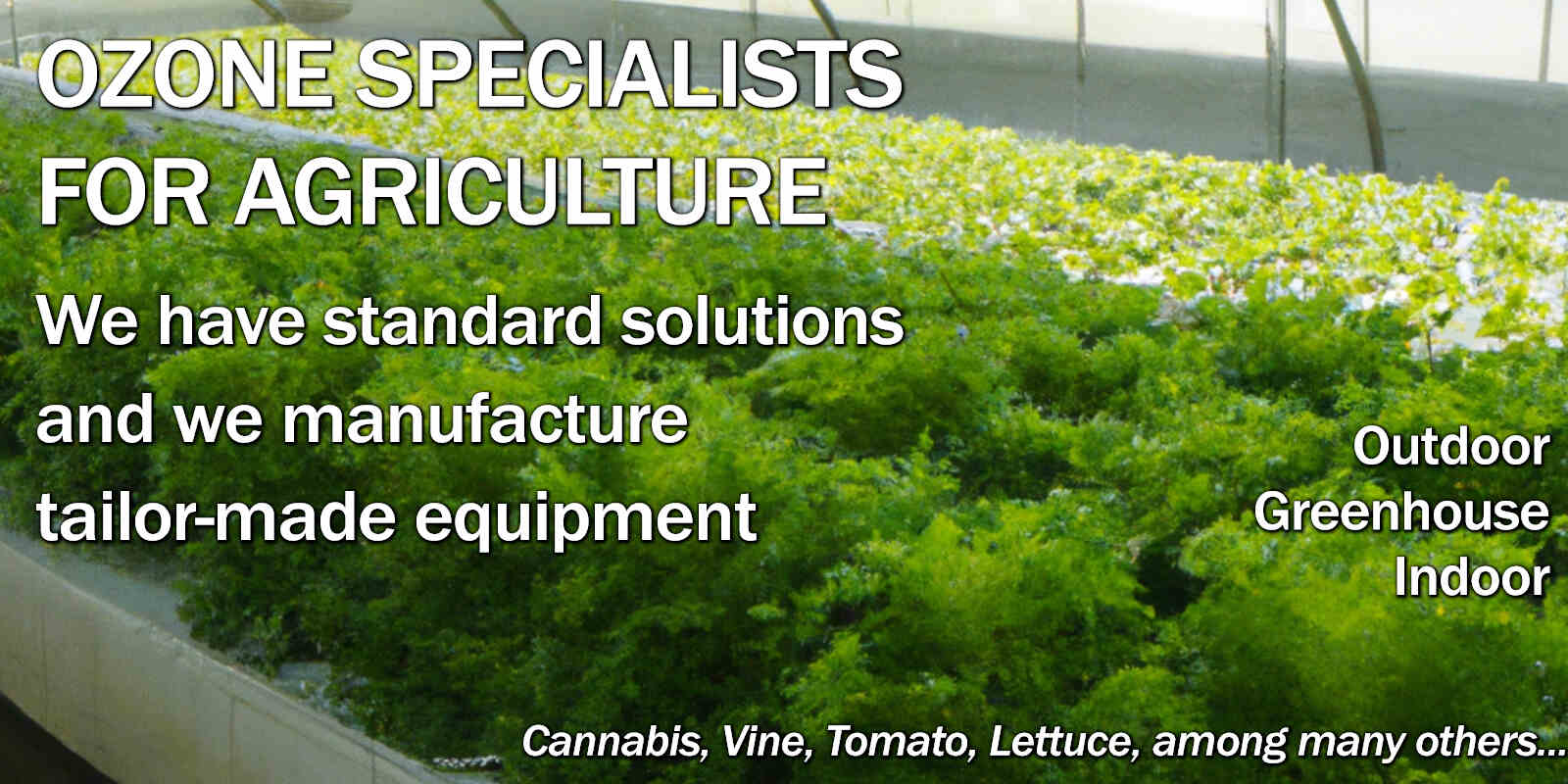 agriculture
