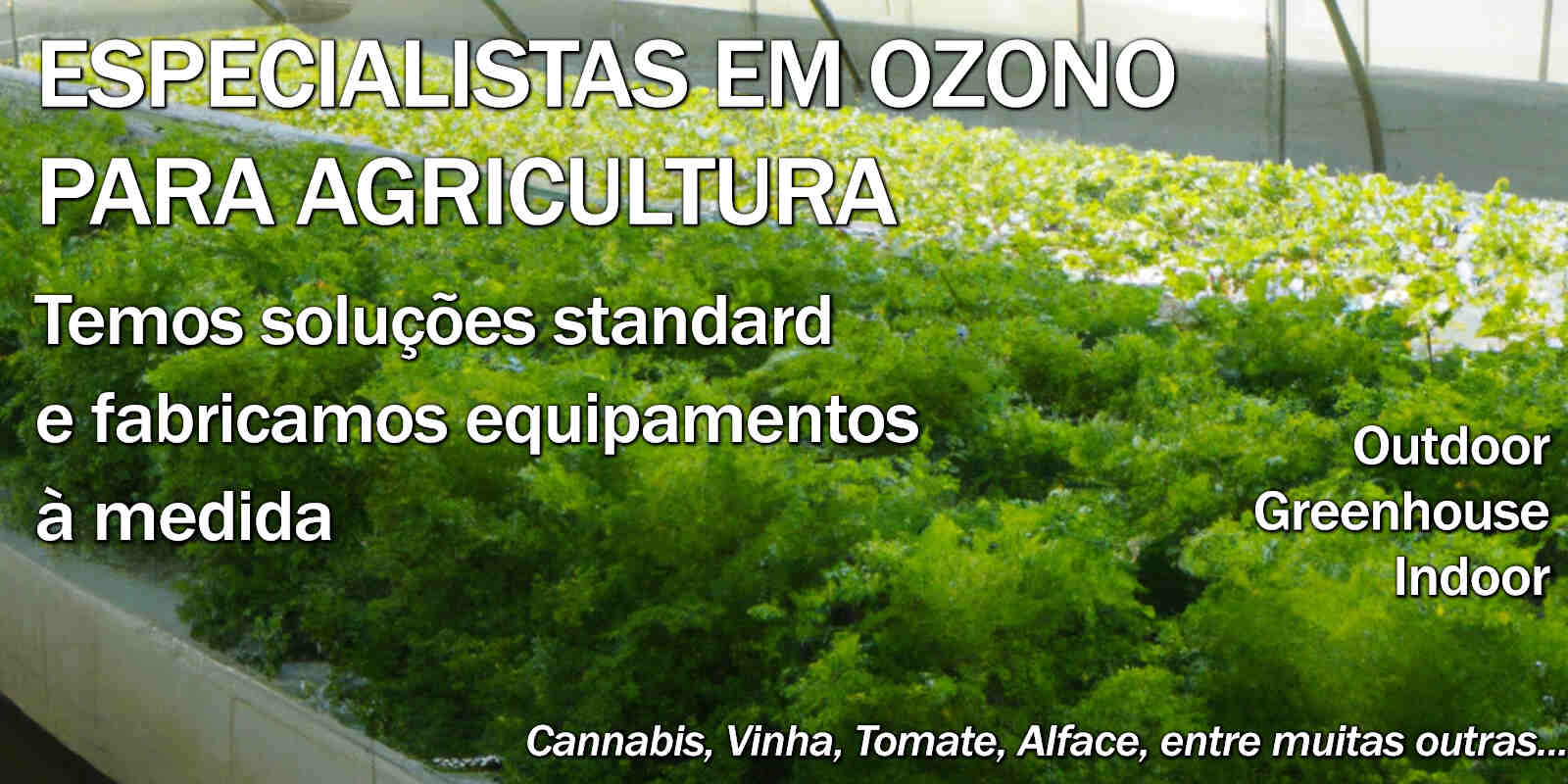 capa_agricultura